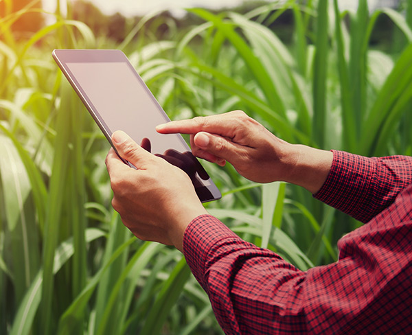 udev-segmento-agronegocios-cover